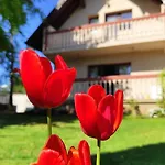 Zelena Oaza Prázdninový dům