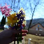 Prázdninový dům Zelena Oaza *