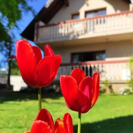 Zelena Oaza בית נופש