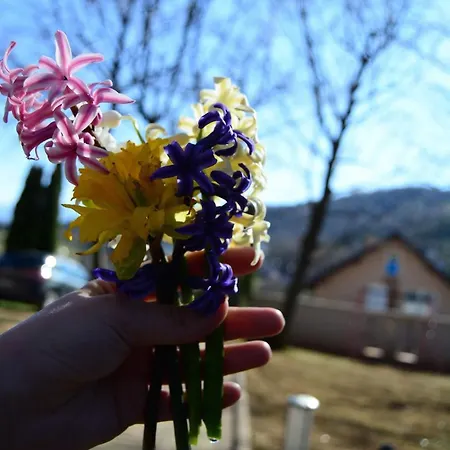 Дом отдыха Zelena Oaza *