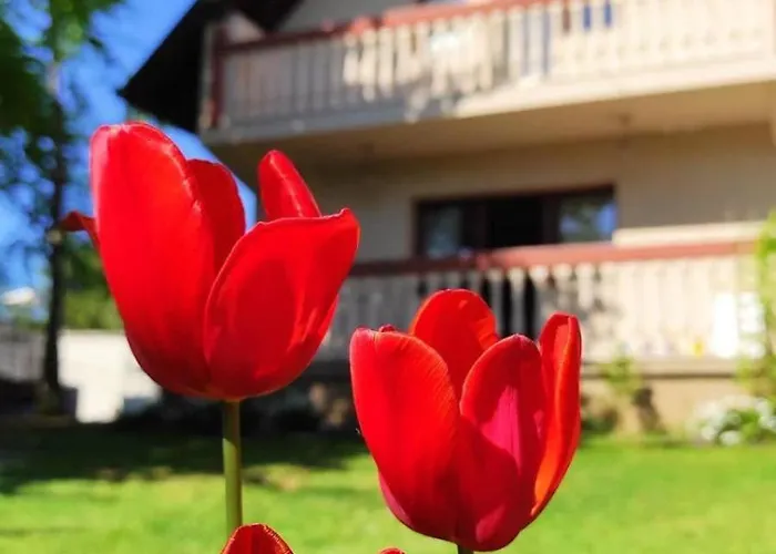 Zelena Oaza 度假居