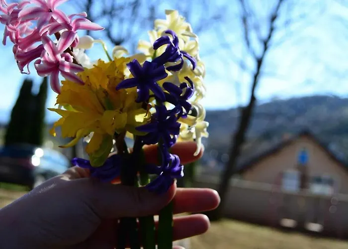 度假居 Zelena Oaza *