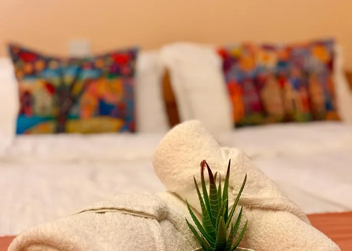 Zelena Oaza 塞拉耶佛