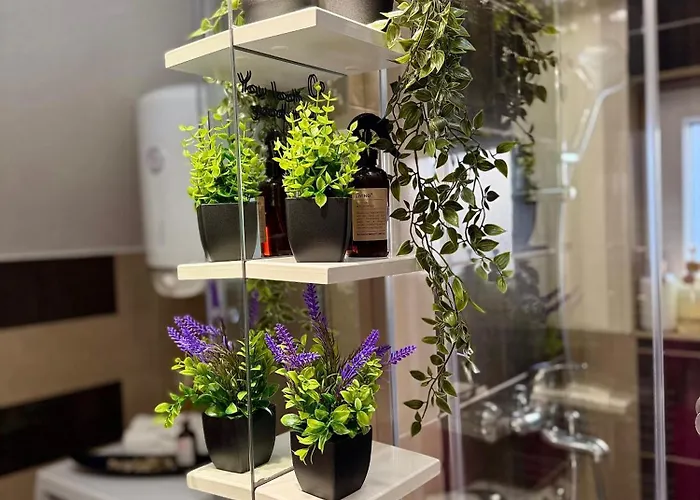 度假居 Zelena Oaza 塞拉耶佛