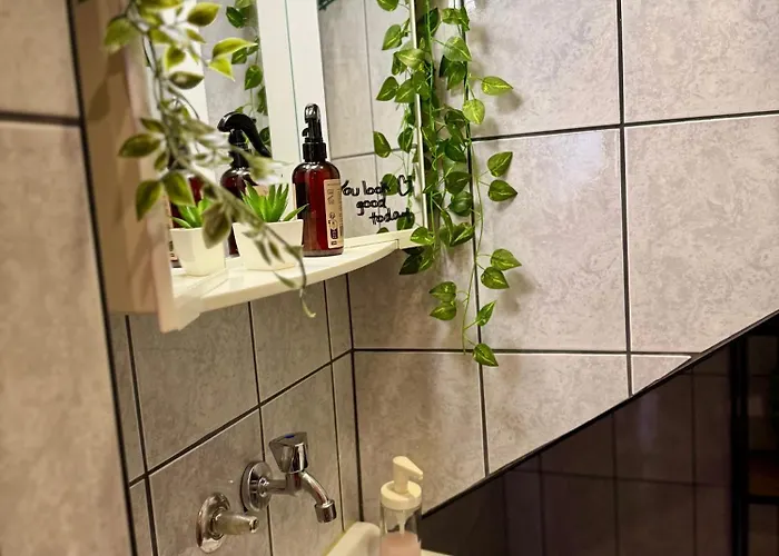 度假居 Zelena Oaza 塞拉耶佛